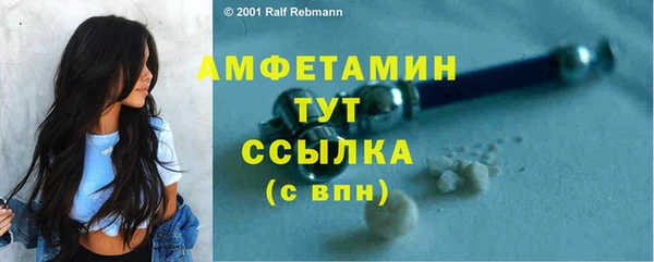 соль ск Семёнов